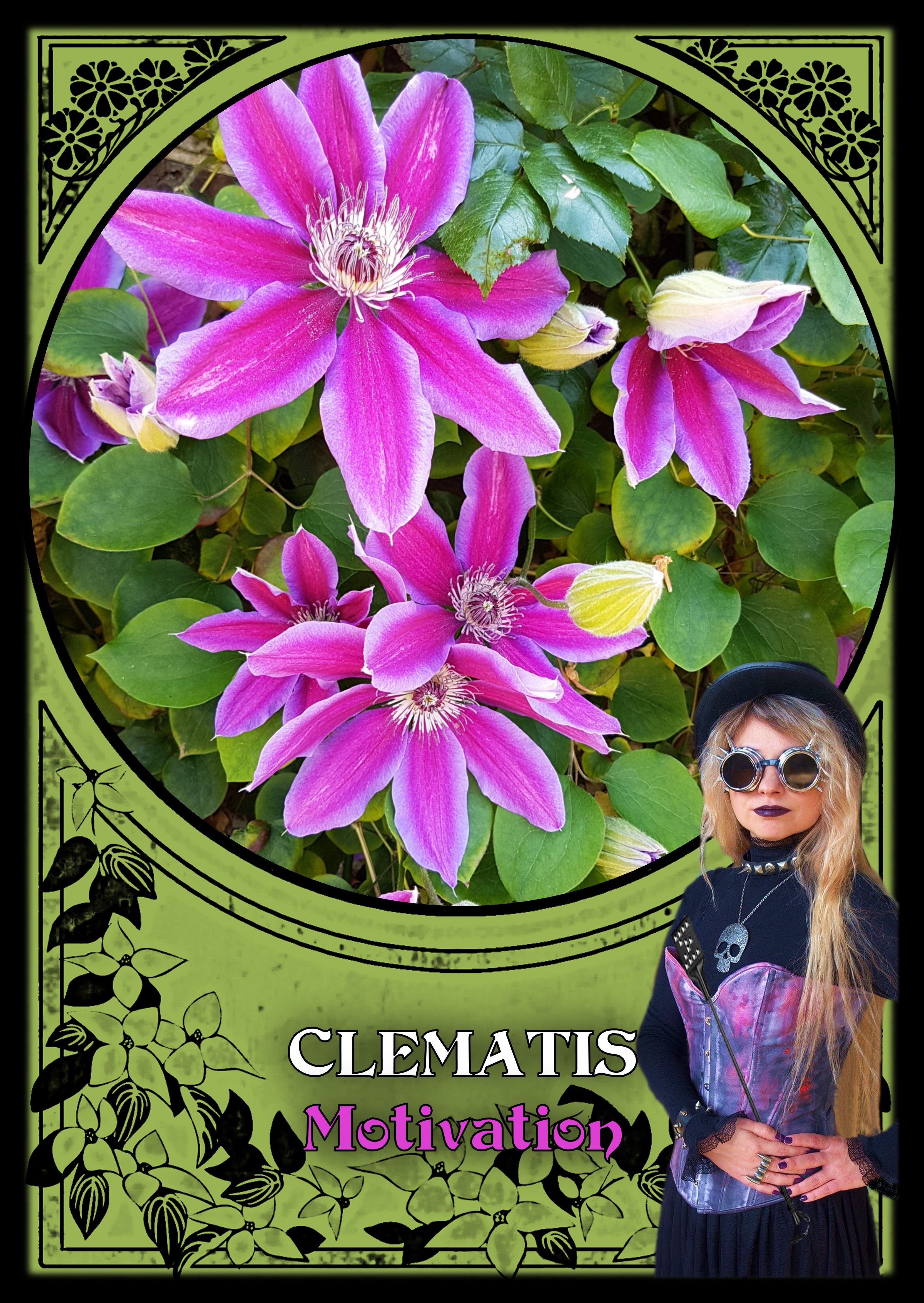 Flower Magic Oracle Cards